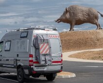 IMG_0151 29/07/2018 - Petit pélerinage auprès du plus grand sanglier au monde : Woinic dans les Ardennes (50 tonnes dont 6,5 de soudures !).